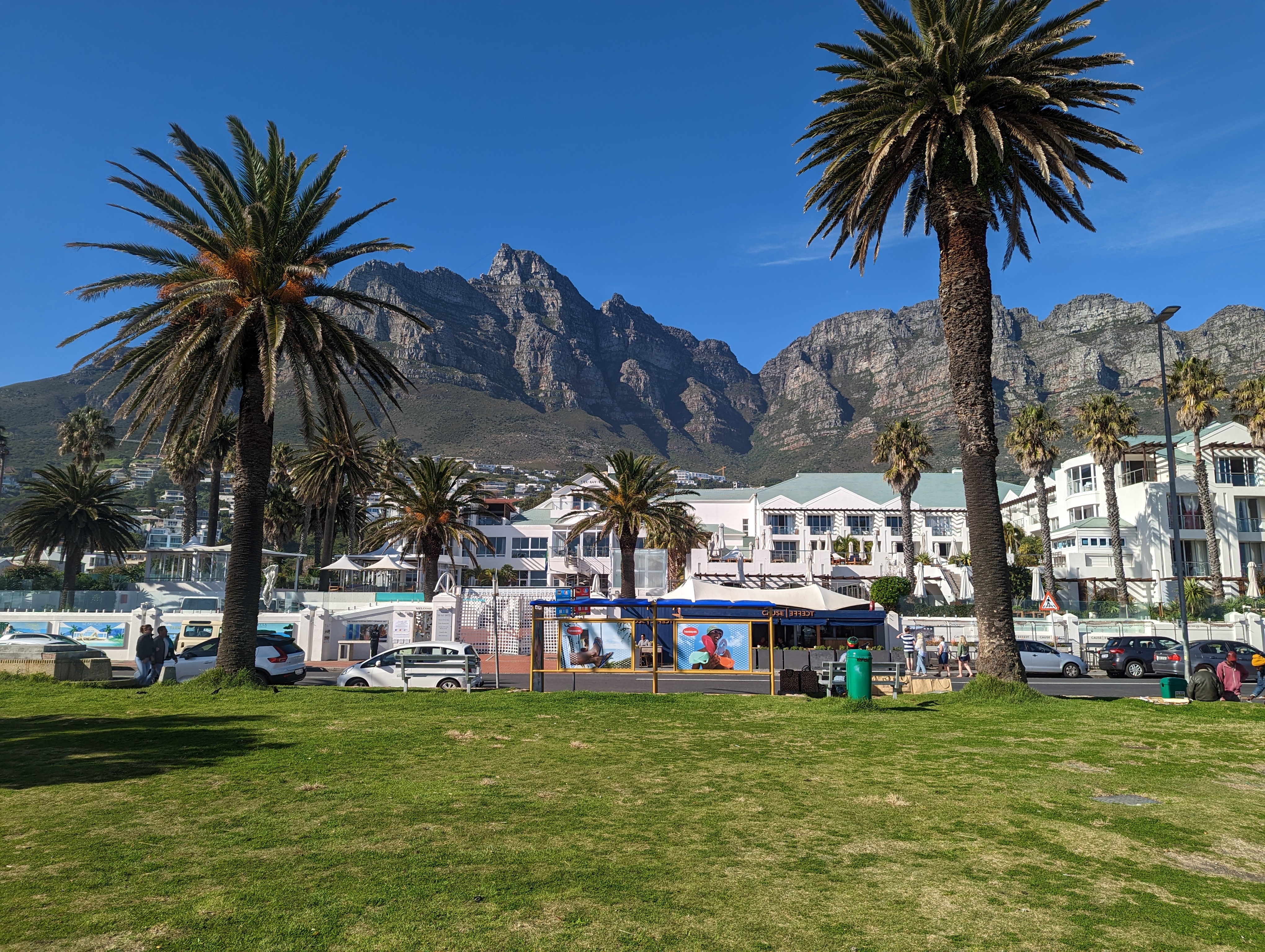 Palm trees and a green lawn in front of a mountain range under a clear blue sky.