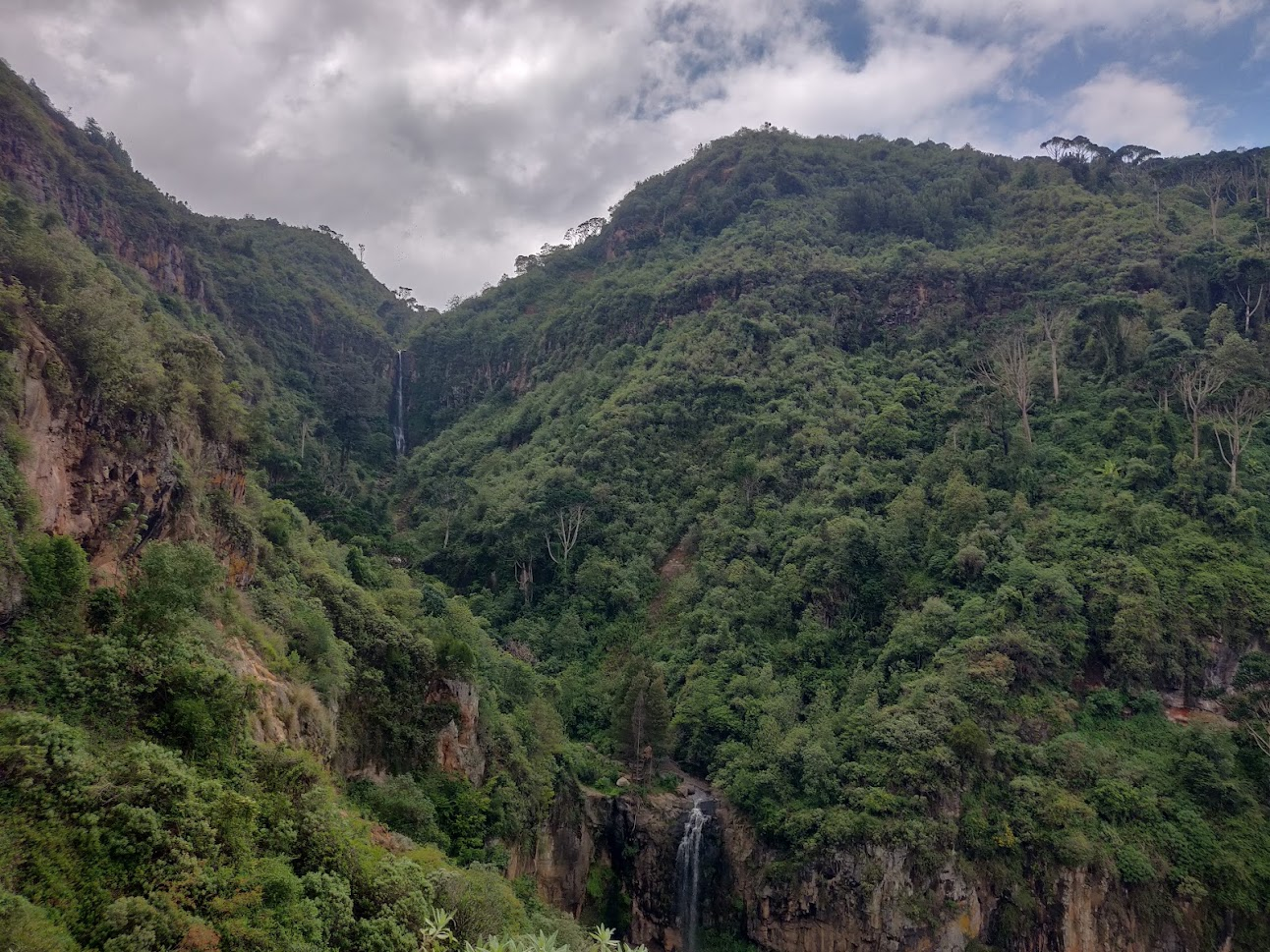 A deep green gorge under cloud, with a waterfall dropping through the trees.